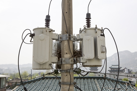 강일전력 PC 이미지 1941884